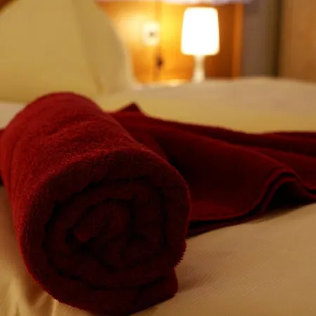 Gaestehaus Elisabeth 招待所