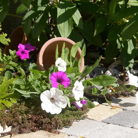 Gaestehaus Elisabeth Affittacamere