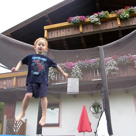 Gaestehaus Elisabeth 招待所 3*