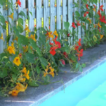 Gaestehaus Elisabeth 3*