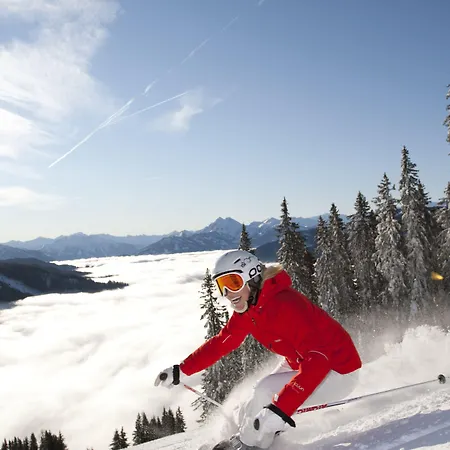 Gaestehaus Elisabeth 招待所 拉德施塔特