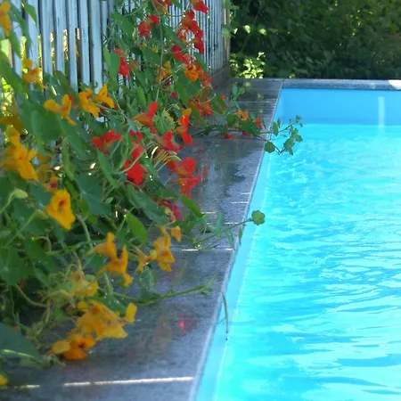 Gaestehaus Elisabeth Pensionat Radstadt