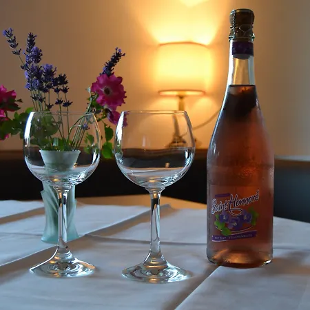 Pensionat Gaestehaus Elisabeth Radstadt