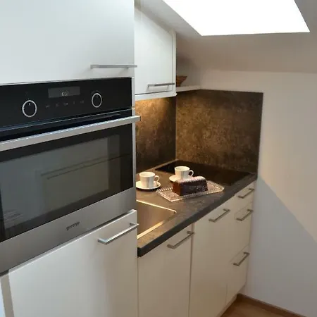 招待所 Gaestehaus Elisabeth 拉德施塔特